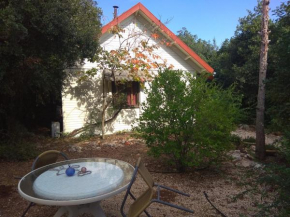 Hotels in Abirim